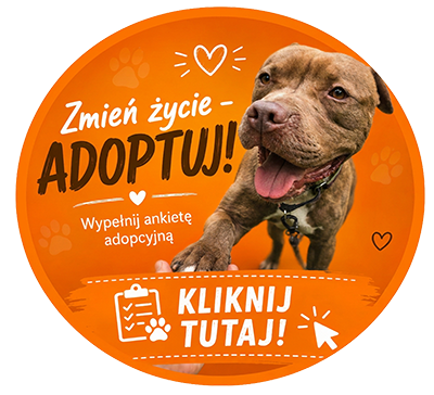 Ankieta Adoptuj
