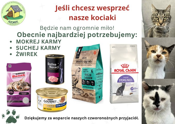 Zbiórka dla Azorka