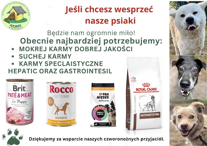 Zbiórka dla Azorka