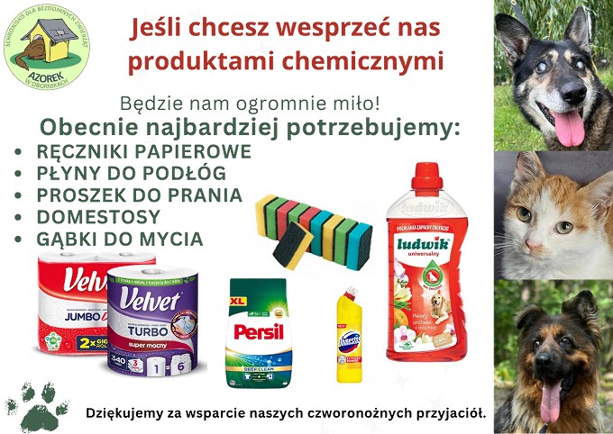 Zbiórka dla Azorka