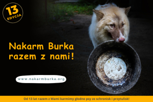 Burek sam nie poprosi o pomoc