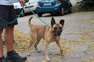 Hora