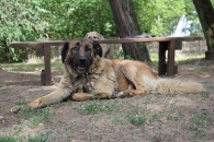 Kuba