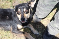 Zula