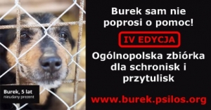 Burek sam nie poprosi o pomoc