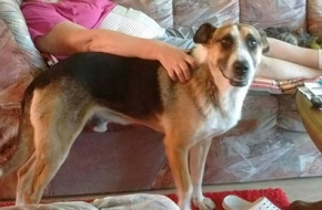 Fiodor