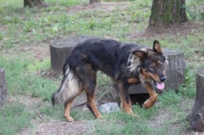 Tyśka