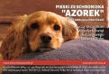 Podziękowania i życzenia