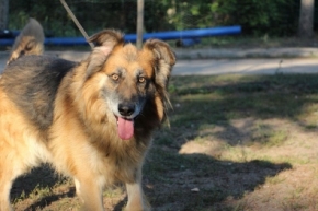 Roki