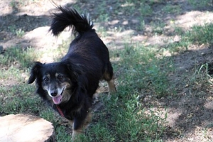 Betka