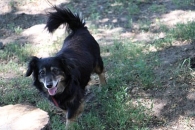Betka