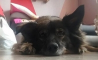 Fiona