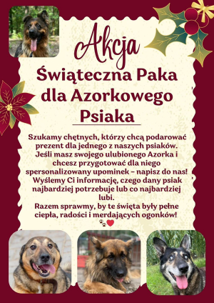 ŚWIĄTECZNA PAKA DLA AZORKOWEGO PSIAKA
