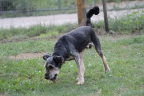 Dżeki