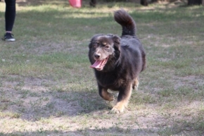Nika