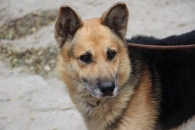 Kuba