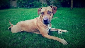 Lucy