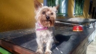 Minnie