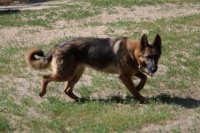Lusia