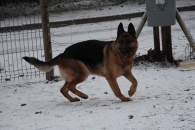 Lusia