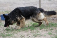 Nela