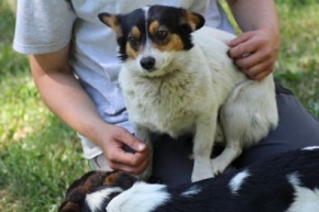 Wiórka