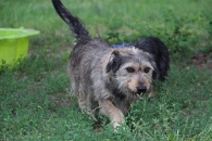 Natka