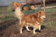 Tokaj