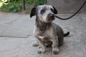 Roki