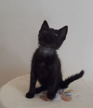 Salem