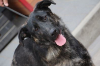 Zeus