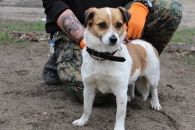 Boni