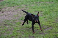Lusia
