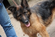 Waśka