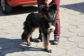 Tobi