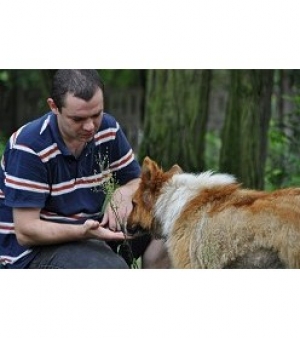 Jarek